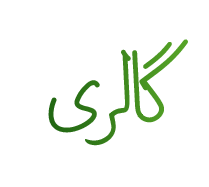 خانه سمر | سالن مطالعه سمر | پانسیون مطالعاتی سمر